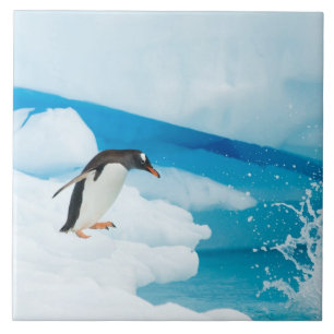 Azulejo De Cerâmica pinguim-gentoo, Pygoscelis Papua, saltando