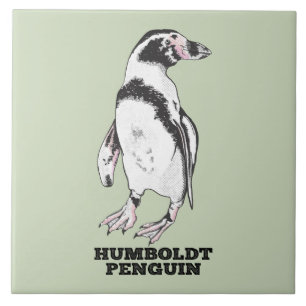 Azulejo De Cerâmica Pinguim Humboldt