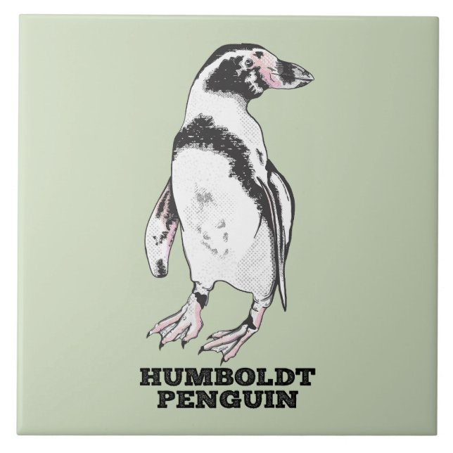 Azulejo De Cerâmica Pinguim Humboldt (Frente)