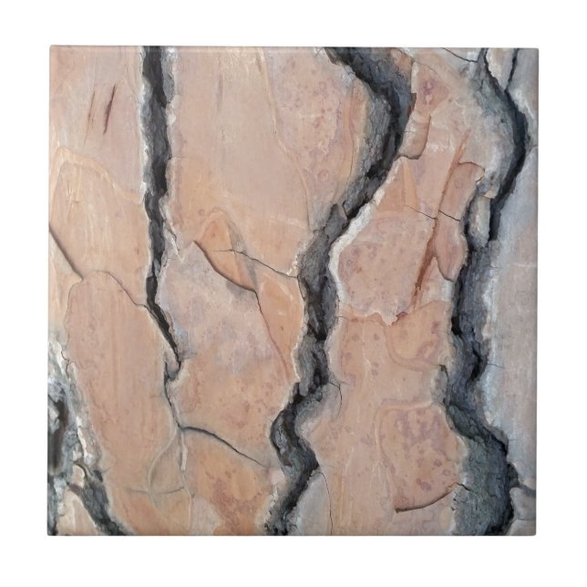 Azulejo De Cerâmica pinheiro de Aleppo (Frente)