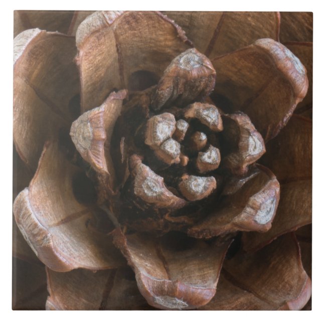 Azulejo De Cerâmica Pinho (Frente)
