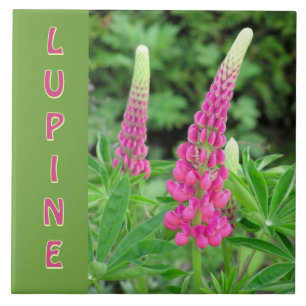 AZULEJO DE CERÂMICA  "PINK LUPINE" /DESIGN FLORAL