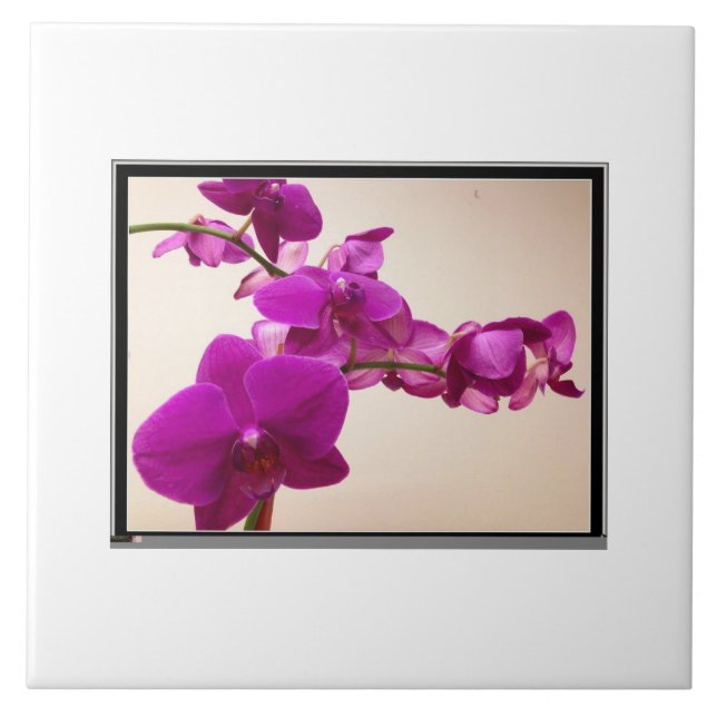 Azulejo De Cerâmica Pink orchid (Frente)