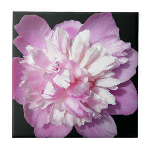 Azulejo De Cerâmica Pink Peony