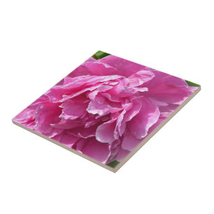Azulejo De Cerâmica Pink Peony