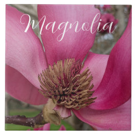 Azulejo De Cerâmica Pink Saucer Magnoly Floral