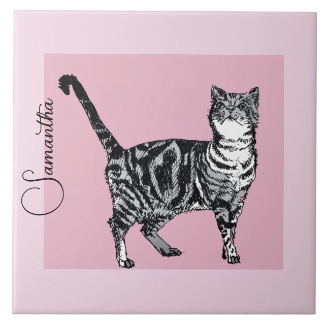 Azulejo De Cerâmica Pink Tabby Cat Cats Pastel Pink Girls Name (Frente)