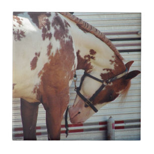 Azulejo De Cerâmica Pinte o cavalo