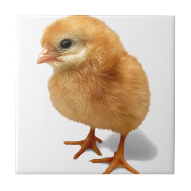 Azulejo De Cerâmica Pintinho (Frente)