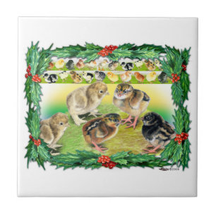 Azulejo De Cerâmica Pintinhos de Natal