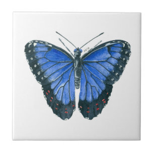 Azulejo De Cerâmica Pintor aquoso da borboleta Azul Morpho