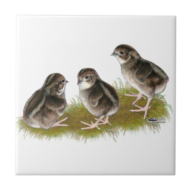 Azulejo De Cerâmica Pintos de Codorniz Coturnix (Frente)