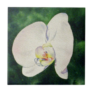 Azulejo De Cerâmica Pintura aquosa Elegante da Orquídea Branca