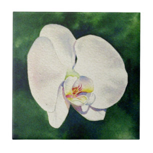 Azulejo De Cerâmica Pintura aquosa Elegante da Orquídea Branca