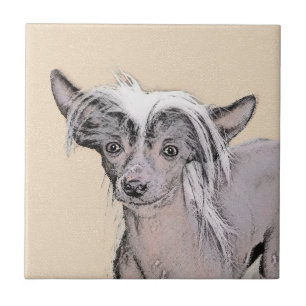 Azulejo De Cerâmica Pintura Chinesa Sem Cabelo Penteada Original Dog A