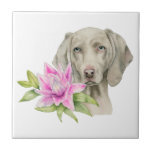 Azulejo De Cerâmica Pintura da aguarela do cão e do lírio de<br><div class="desc">Esta é uma pintura da aguarela de um cão de Weimaraner e de um lírio cor-de-rosa. Weimaraner é um grande cão que se use para ser produzido caçando. Tem uma prata bonita ou as rato-cinzas revestem com os olhos azuis. Isto era pintado mão no papel pressionado quente dos arcos com...</div>