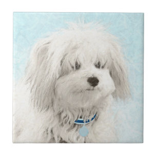 Azulejo De Cerâmica Pintura de Algodão de Tulear - Arte de Cachorro O