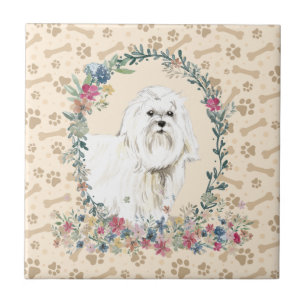 Azulejo De Cerâmica Pintura De Cão Maltês Imprime Cerco Floral