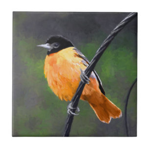 Azulejo De Cerâmica Pintura de Oriole - Arte Original para Pássaros