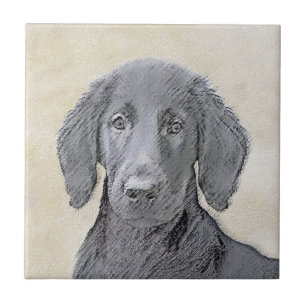 Azulejo De Cerâmica Pintura De Retriever Revestida Plana - Arte De Cã