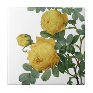 Azulejo De Cerâmica Pintura de rosa amarela vítrea