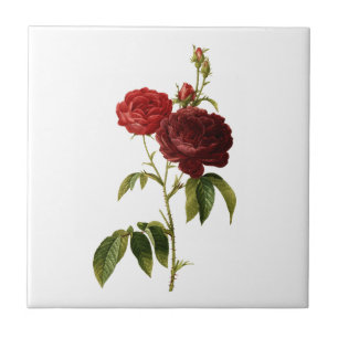 Azulejo De Cerâmica Pintura de rosas vermelhos profundos