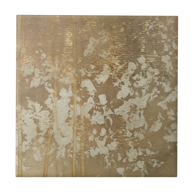 Azulejo De Cerâmica Pintura Dourada abstrato com Espectro de Prata (Frente)