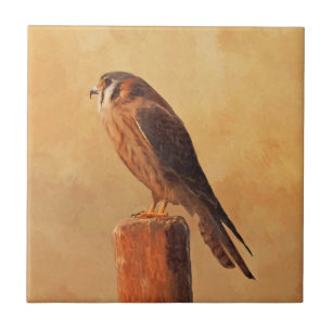 Azulejo De Cerâmica Pintura em Kestrel Americano - Arte original sobre