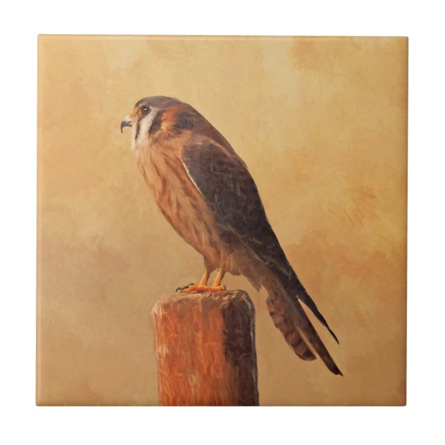 Azulejo De Cerâmica Pintura em Kestrel Americano - Arte original sobre (Frente)