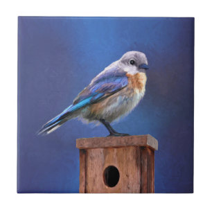 Azulejo De Cerâmica Pintura (fêmea) do Bluebird - arte original do