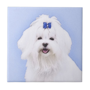 Azulejo De Cerâmica Pintura Maltesa - Arte Cachorra Original