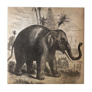 Azulejo De Cerâmica Pintura mural do elefante do vintage