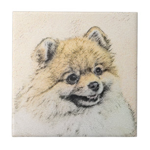 Azulejo De Cerâmica Pintura Pomeraniana (Laranja) - Arte Original de C