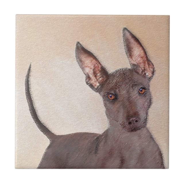 Azulejo De Cerâmica Pintura Xoloitzcuintli - Arte Cachorra Original (Frente)