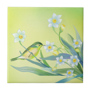 Azulejo De Cerâmica Pinturas inspiradas no jardim de flores e aves
