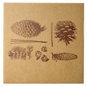 Azulejo De Cerâmica Pinus ilustrados com pinagem pinheiro pinheiro pin