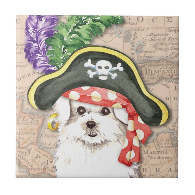 Azulejo De Cerâmica Pirata maltesa (Frente)