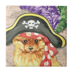 Azulejo De Cerâmica Pirata Pomeraniana