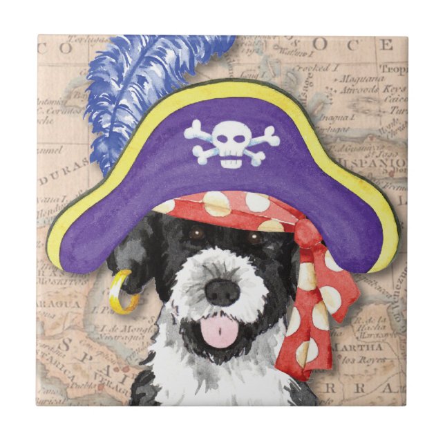 Azulejo De Cerâmica Pirata PWD (Frente)