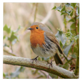 Azulejo De Cerâmica Pisco de peito vermelho impressionante