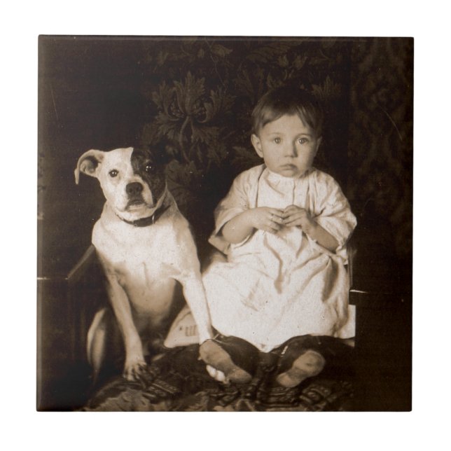 Azulejo De Cerâmica pitbull e bebê de cerca de 1910 (Frente)