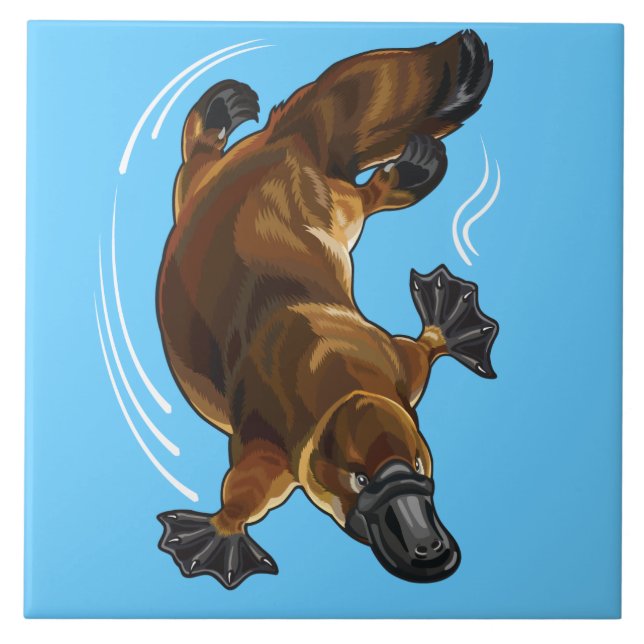 Azulejo De Cerâmica planalto (Frente)