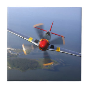 Azulejo De Cerâmica Plano Clássico