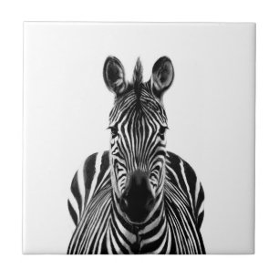 Azulejo De Cerâmica Plano de backup III