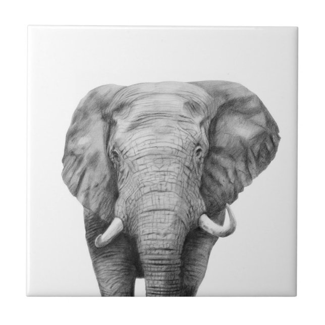 Azulejo De Cerâmica Plano de backup IV (Frente)