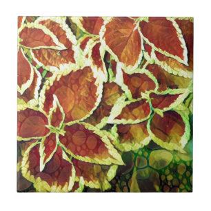 Azulejo De Cerâmica Planta Bonito