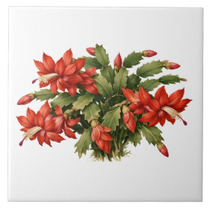 Azulejo De Cerâmica Planta de Cacto de Natal Vermelho Florido