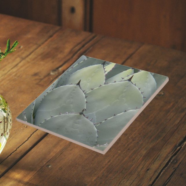 Azulejo De Cerâmica Planta de Cactus Agave Estilo Sudoeste (In Situ (Angled))