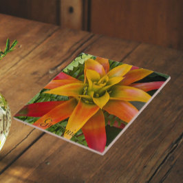 Azulejo De Cerâmica Planta Floral de Guzmania Bromeliad