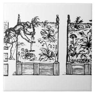Azulejo De Cerâmica Plantando em camas aumentadas, 'do Laby do